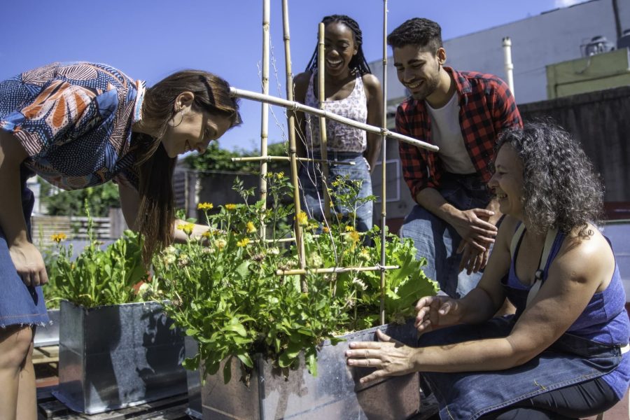 Femmes et homme autour d'un bac de plante pour un projet social